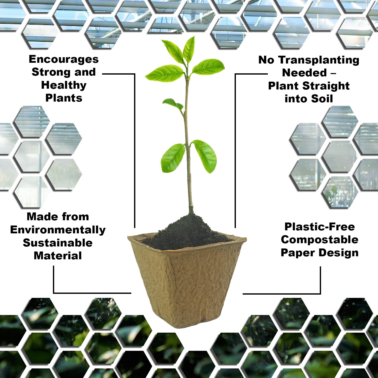 Woodside 160 Pack 6cm Compostable Paper Plant Pots – Eco Friendly Biodegradable Seedling Growing Pots