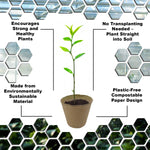 Woodside 160 Pack 8cm Compostable Paper Plant Pots – Eco Friendly Biodegradable Seedling Growing Pots
