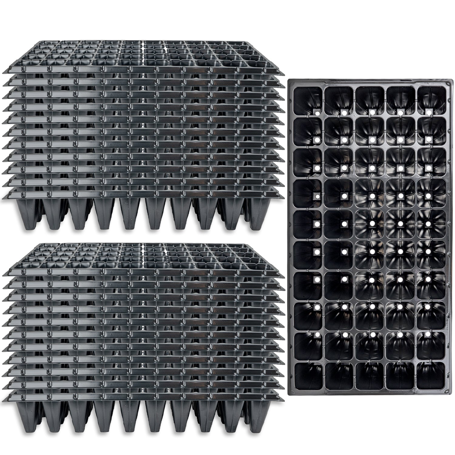 Woodside 50 Cell Root Trainer Seed Trays 24 Pack | Durable Reusable Seedling Growing & Propagation Trays