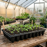 Woodside 50 Cell Root Trainer Seed Trays 12 Pack | Durable Reusable Seedling Growing & Propagation Trays