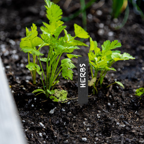 Woodside Garden Slate Plant & Flower Markers + Chalk, Plant Stall Labels x 20