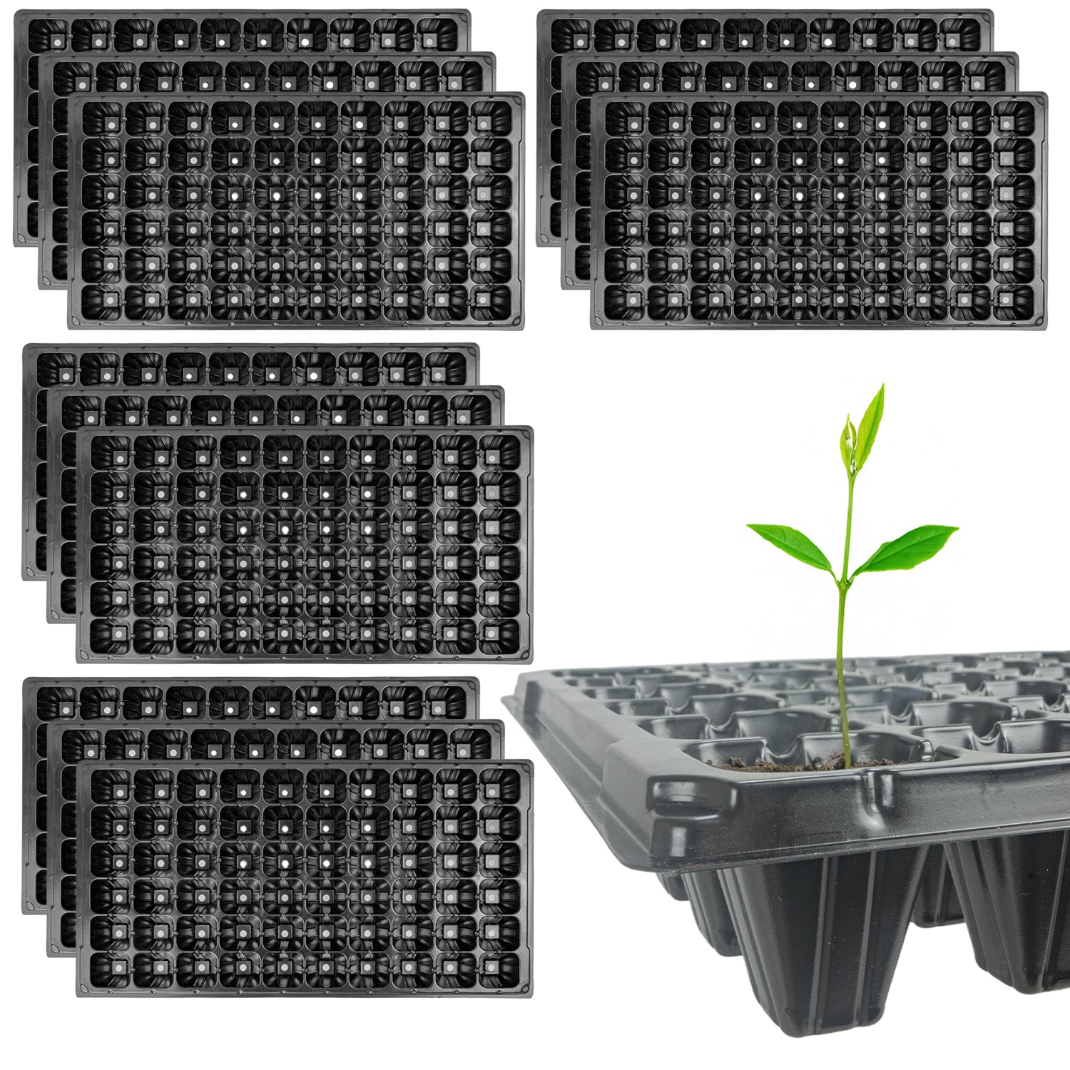 Woodside 60 Cell Root Trainer Seed Trays 12 Pack | Durable Reusable Seedling Growing & Propagation Trays