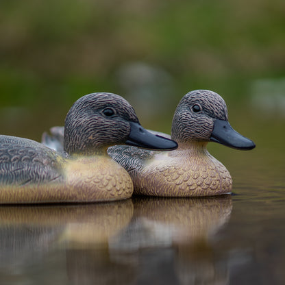 Nitehawk 6 x Floating 14" Hunting Shooting Female Duck Decoy