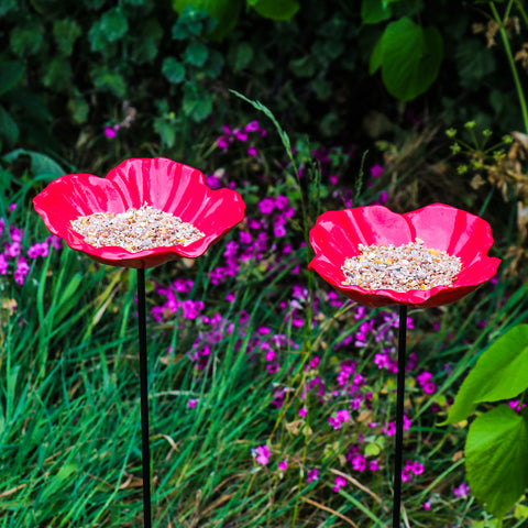 Woodside Cast Iron Poppy Flower Dish Bird Feeder (Pack of 2)