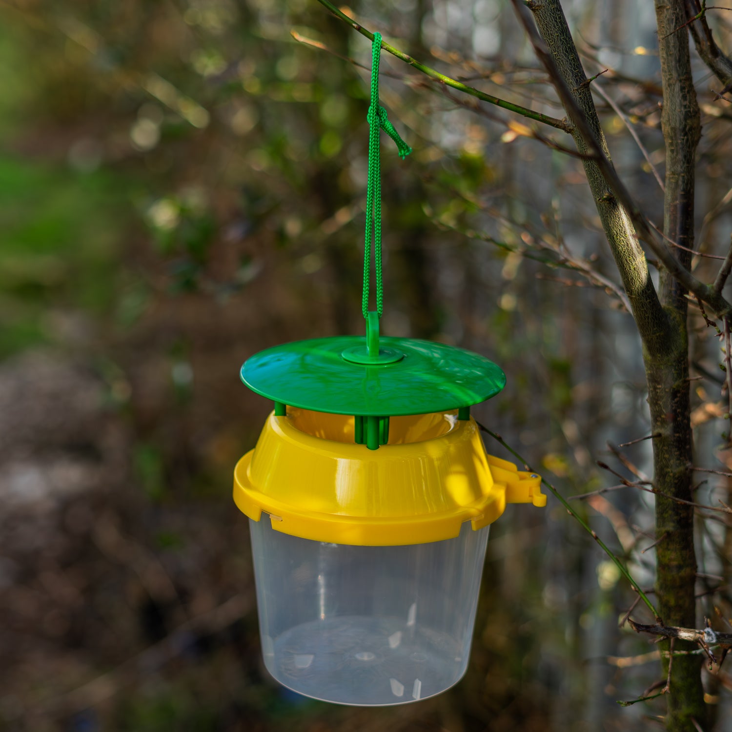 Woodside Reusable/Refillable Box Tree Moth Catcher/Insect Bucket Trap – 2 Pack