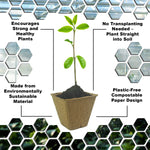 Woodside 160 Pack 8cm Compostable Paper Plant Pots – Eco Friendly Biodegradable Seedling Growing Pots
