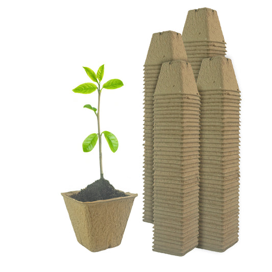 Woodside 160 Pack 6cm Compostable Paper Plant Pots – Eco Friendly Biodegradable Seedling Growing Pots