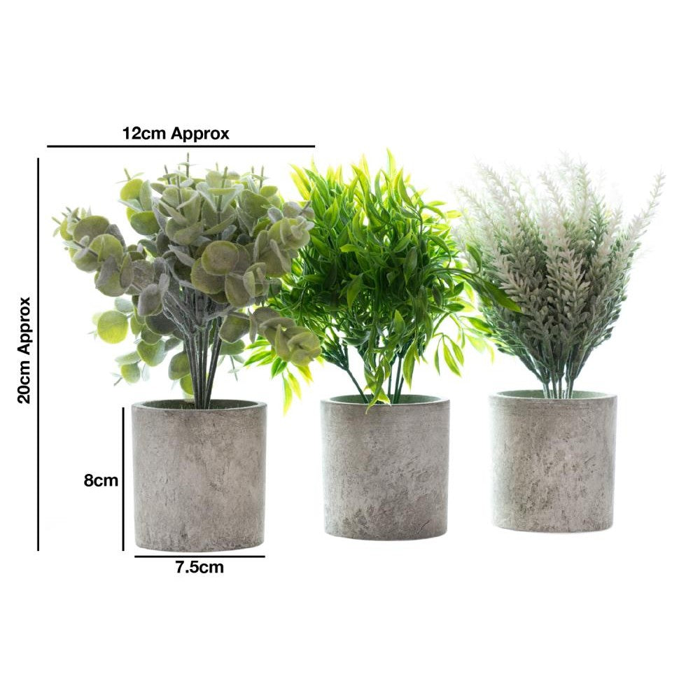 Woodside Pack of 3 Mini Potted Artificial Indoor Home & Office Plants