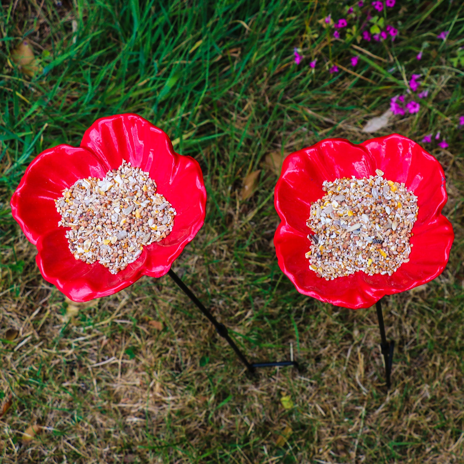 Woodside Cast Iron Poppy Flower Dish Bird Feeder (Pack of 2)