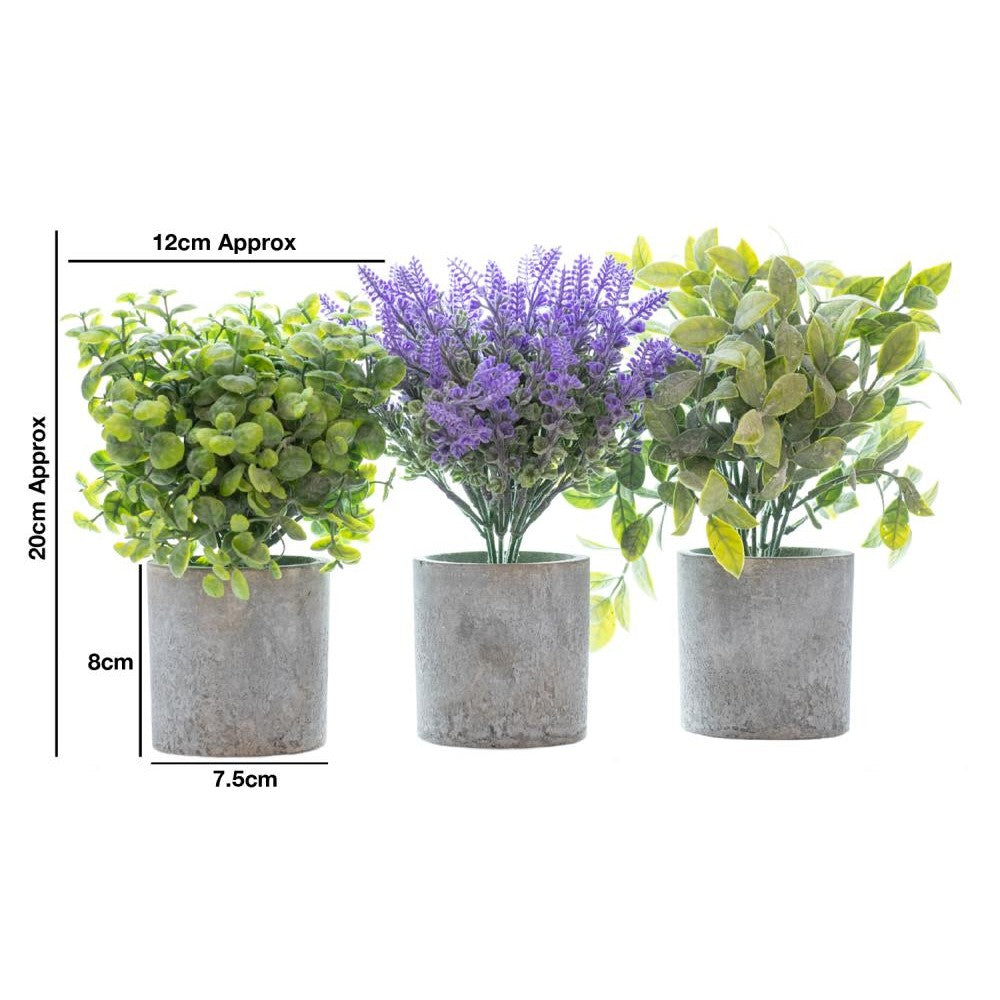 Woodside Pack of 3 Mini Potted Artificial Indoor Home & Office Plants